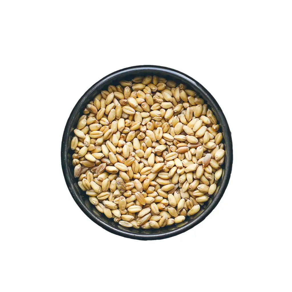 Wheat