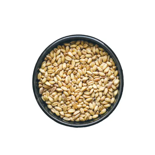 Wheat